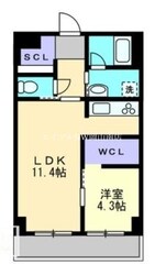 県庁通り駅 徒歩5分 2階の物件間取画像